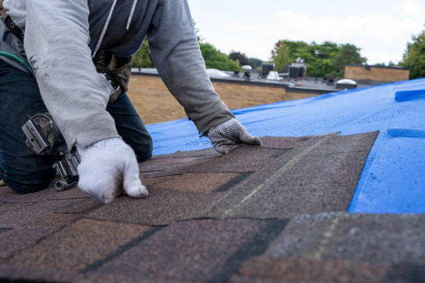 Best Roof Maintenance Services  in Covelo, CA